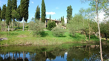 Podere Le Sodole - San Gimignano